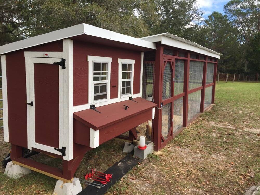Large Chicken Coop - Up to 15 Chickens - OverEZ Chicken Coop ~ Blessings Grow Meadows