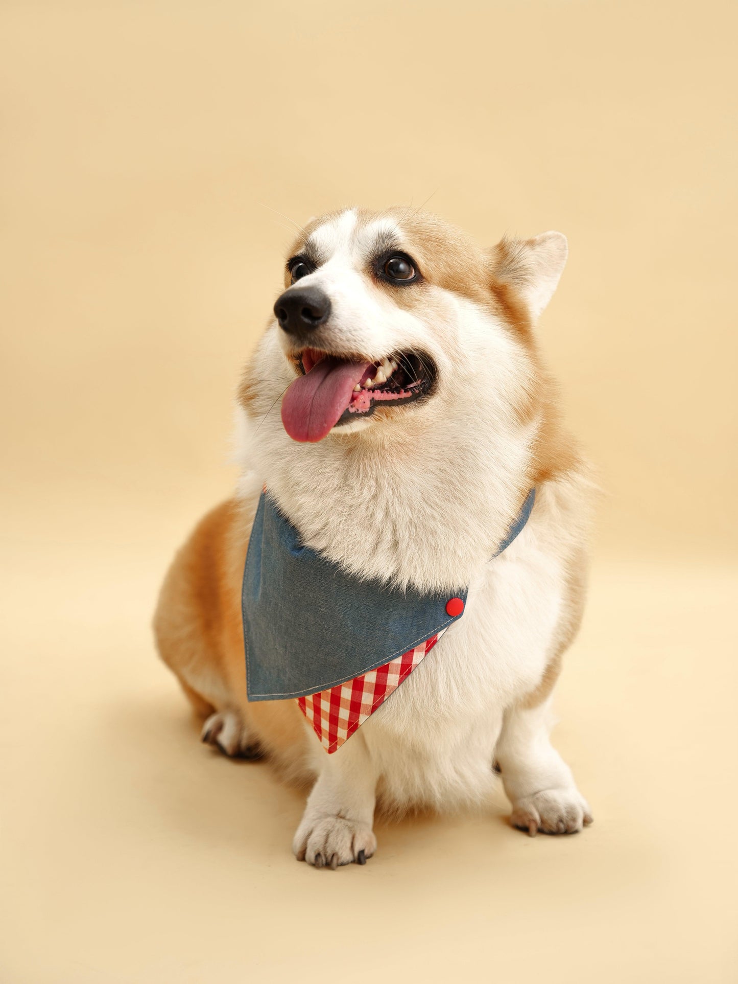 Handmade BarkBarkBaby Park Day Denim Gingham Print Bandana with classic blue and white gingham pattern for pets.