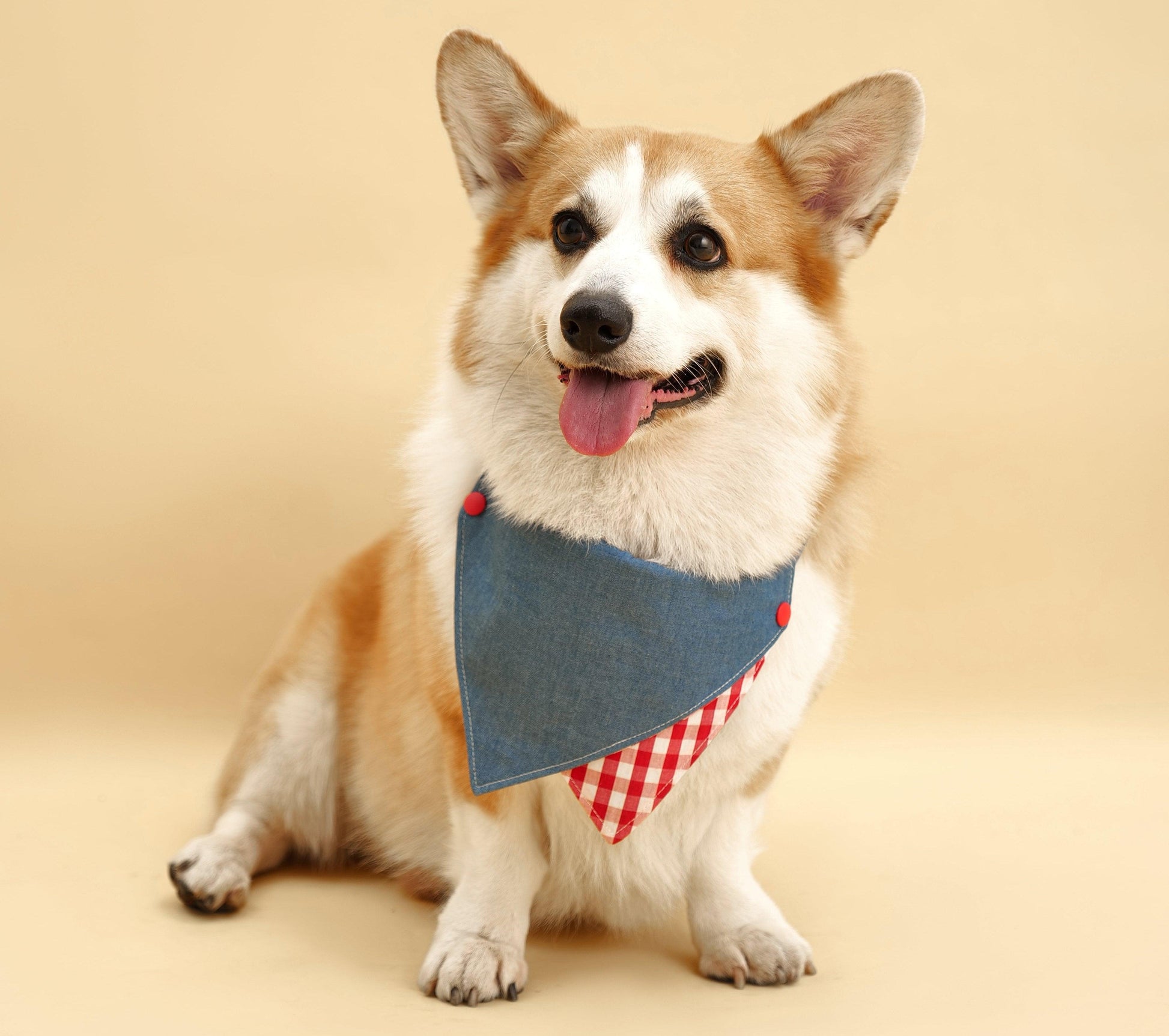 Handmade BarkBarkBaby Park Day Denim Gingham Print Bandana with classic blue and white gingham pattern for dogs.