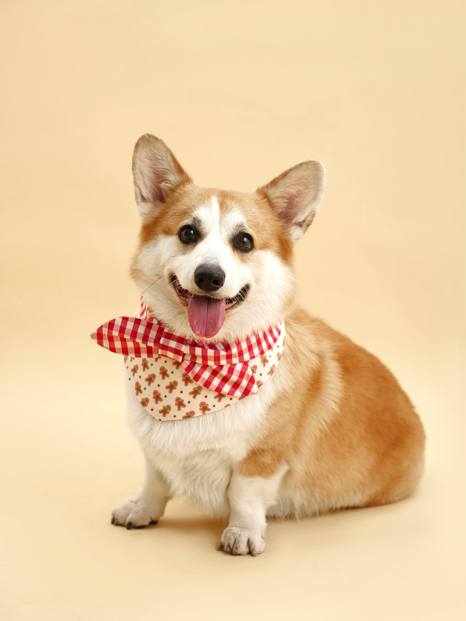 Christmas Morning Gingerbread Man Gingham Print Handmade Bandana - BarkBarkBaby ~ Blessings Grow Meadows