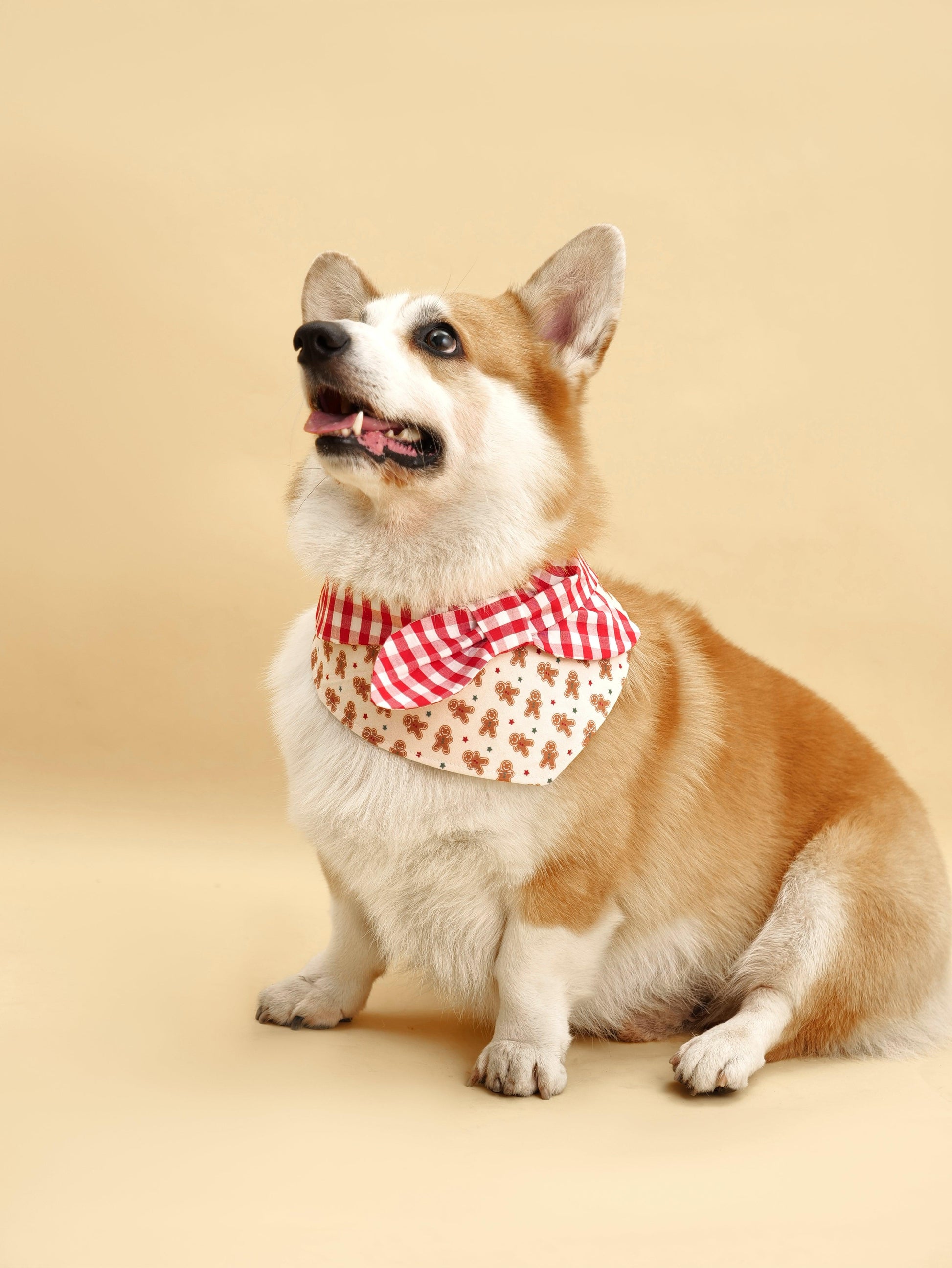Christmas Morning Gingerbread Man Gingham Print Handmade Bandana - BarkBarkBaby ~ Blessings Grow Meadows