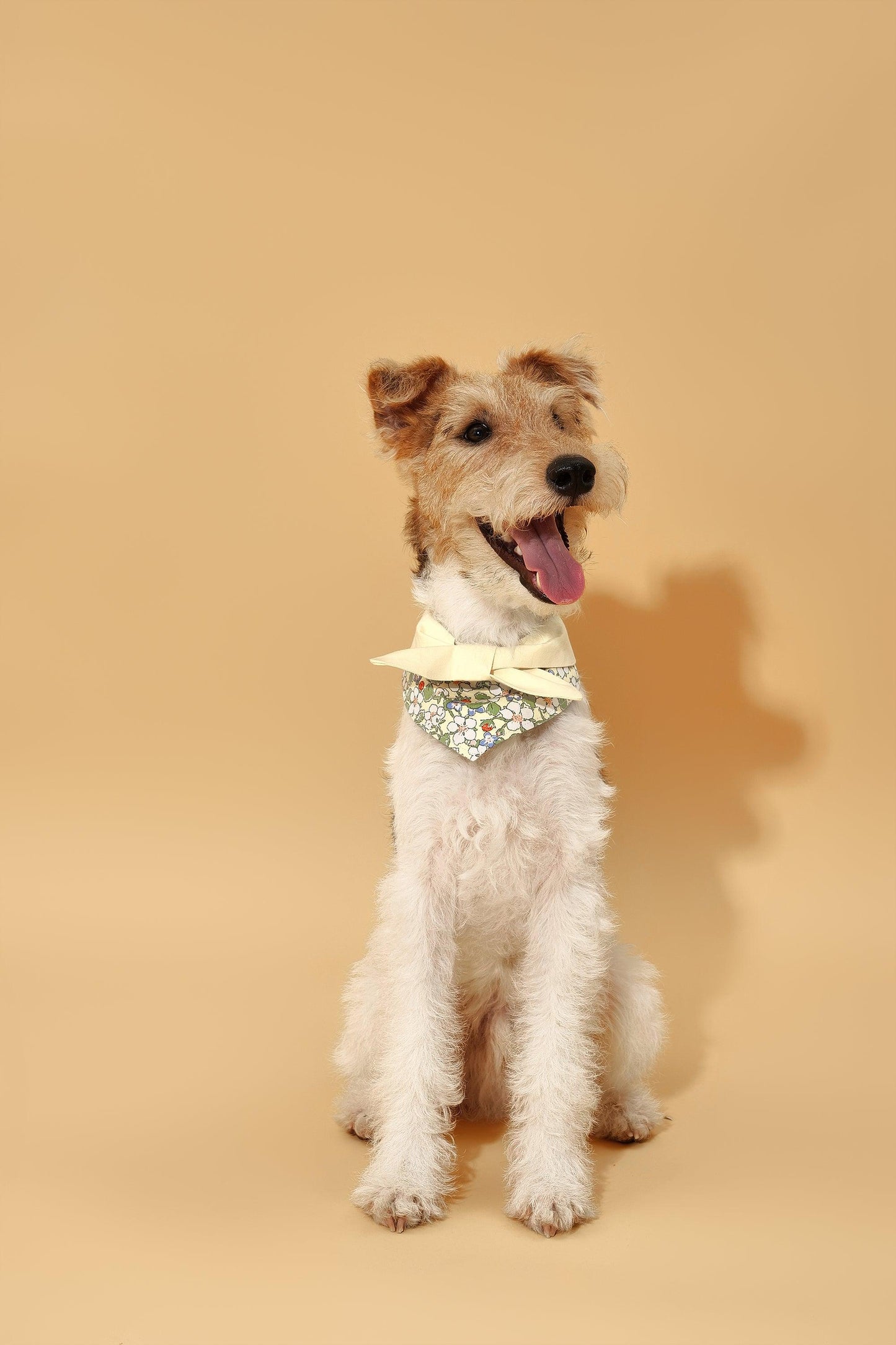 Bowtiful Garden Butter Yellow Floral Bandana - BarkBarkBaby ~ Blessings Grow Meadows