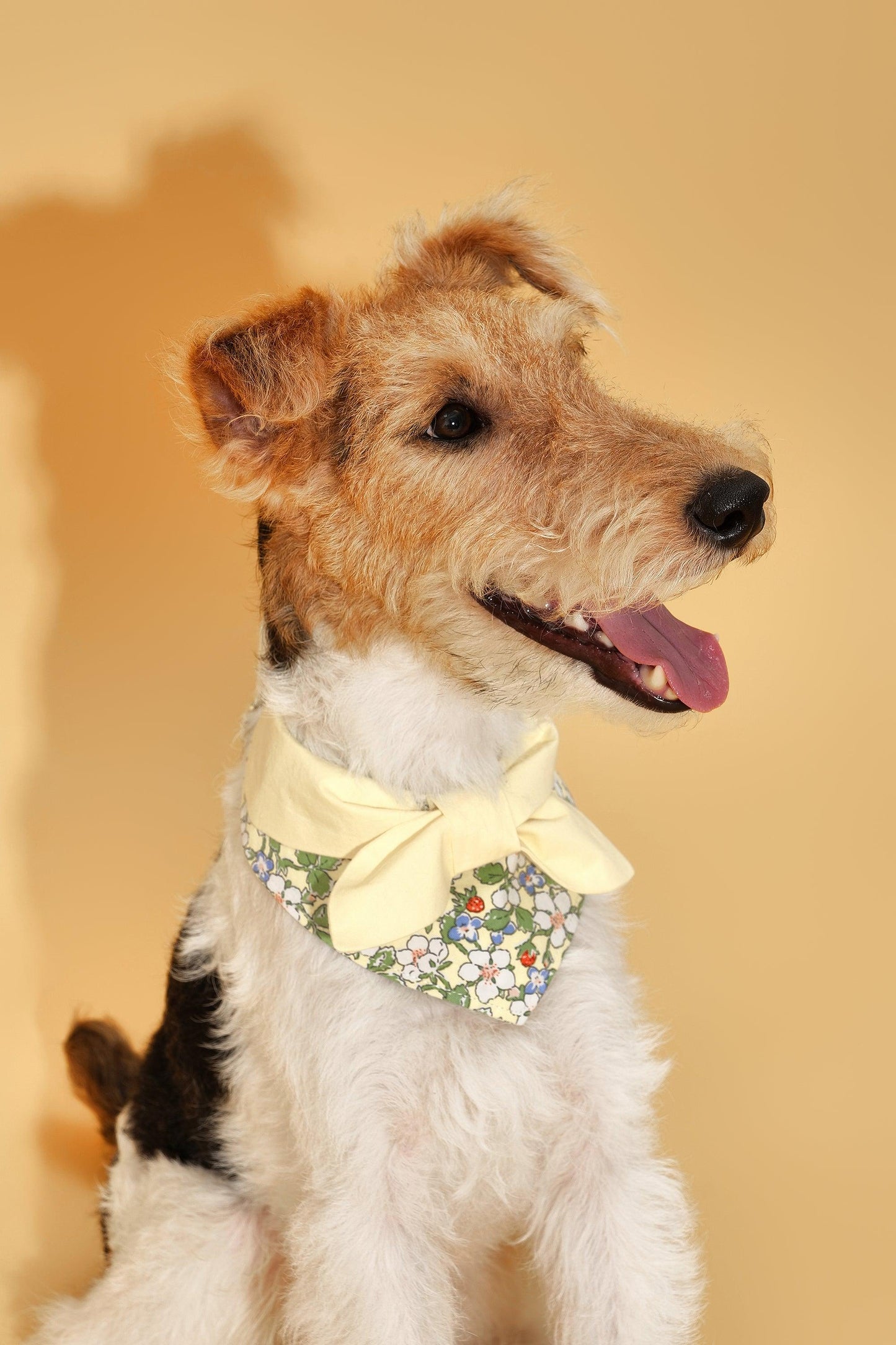 Bowtiful Garden Butter Yellow Floral Bandana - BarkBarkBaby ~ Blessings Grow Meadows