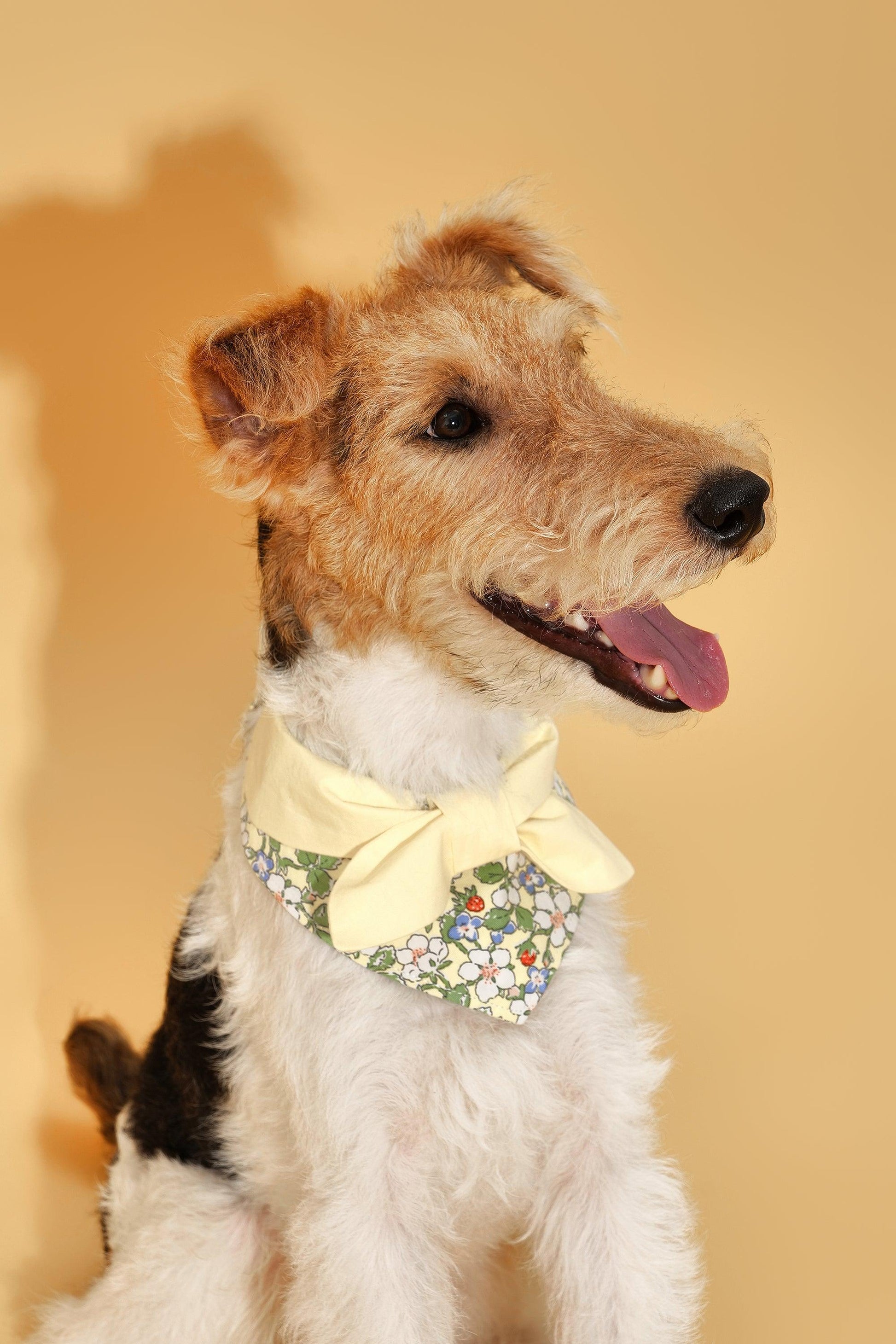 Bowtiful Garden Butter Yellow Floral Bandana - BarkBarkBaby ~ Blessings Grow Meadows