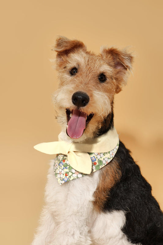 Bowtiful Garden Butter Yellow Floral Bandana - BarkBarkBaby ~ Blessings Grow Meadows