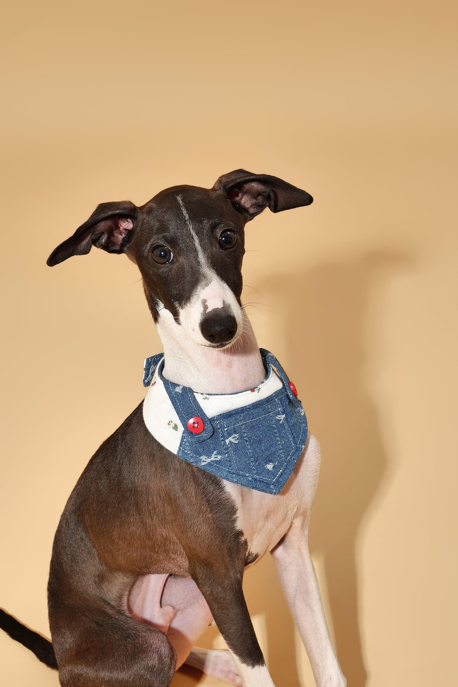 Reversible Denim Cherry Overalls Pet Bandana - BarkBarkBaby ~ Blessings Grow Meadows