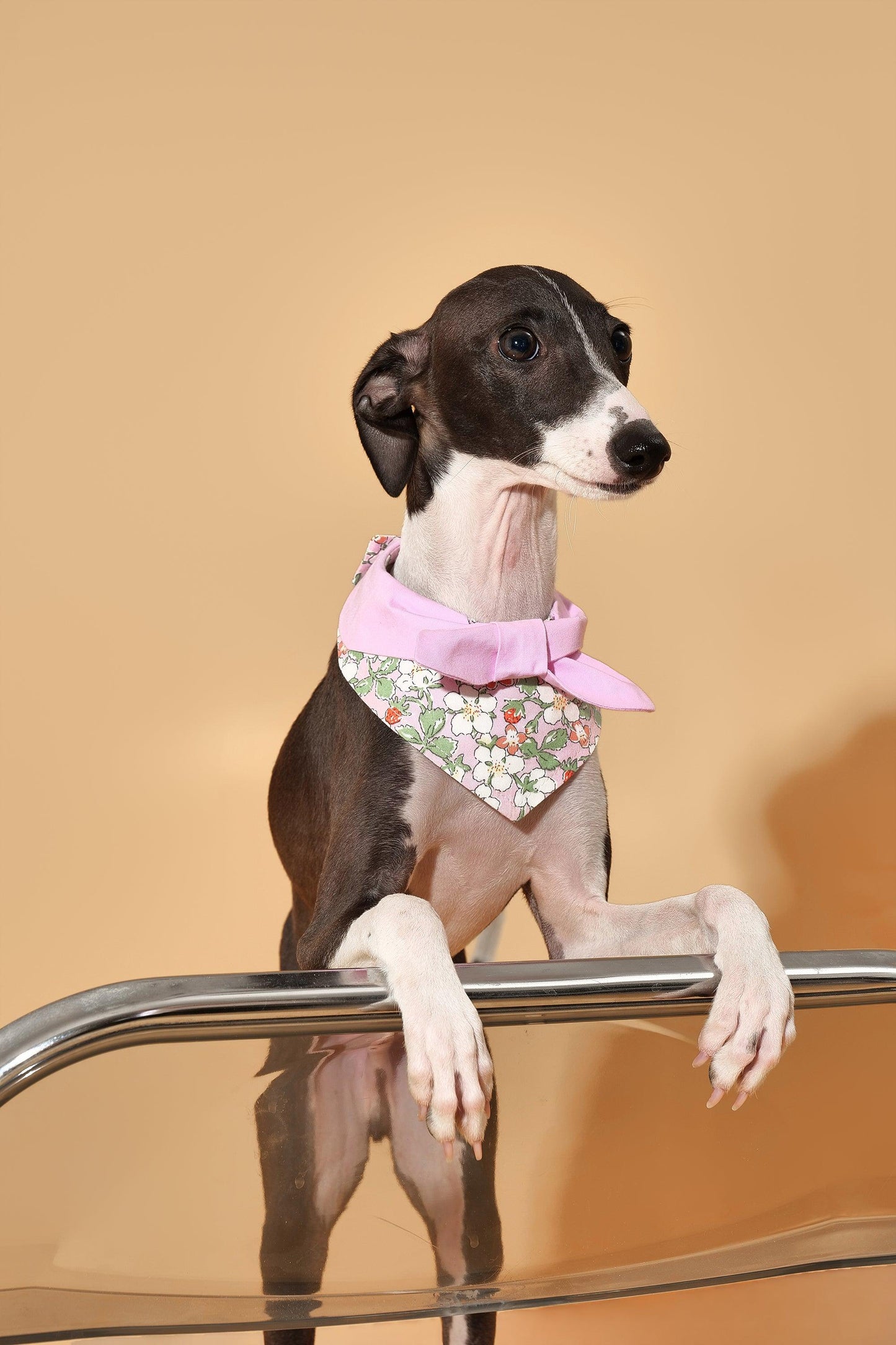 Bowtiful Garden Pink Floral Bandana - BarkBarkBaby ~ Blessings Grow Meadows