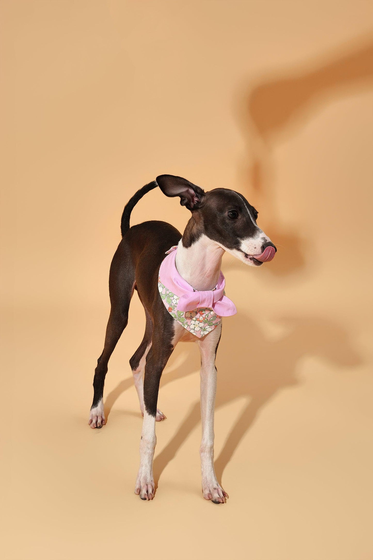 Bowtiful Garden Pink Floral Bandana - BarkBarkBaby ~ Blessings Grow Meadows