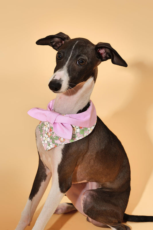 Bowtiful Garden Pink Floral Bandana - BarkBarkBaby ~ Blessings Grow Meadows