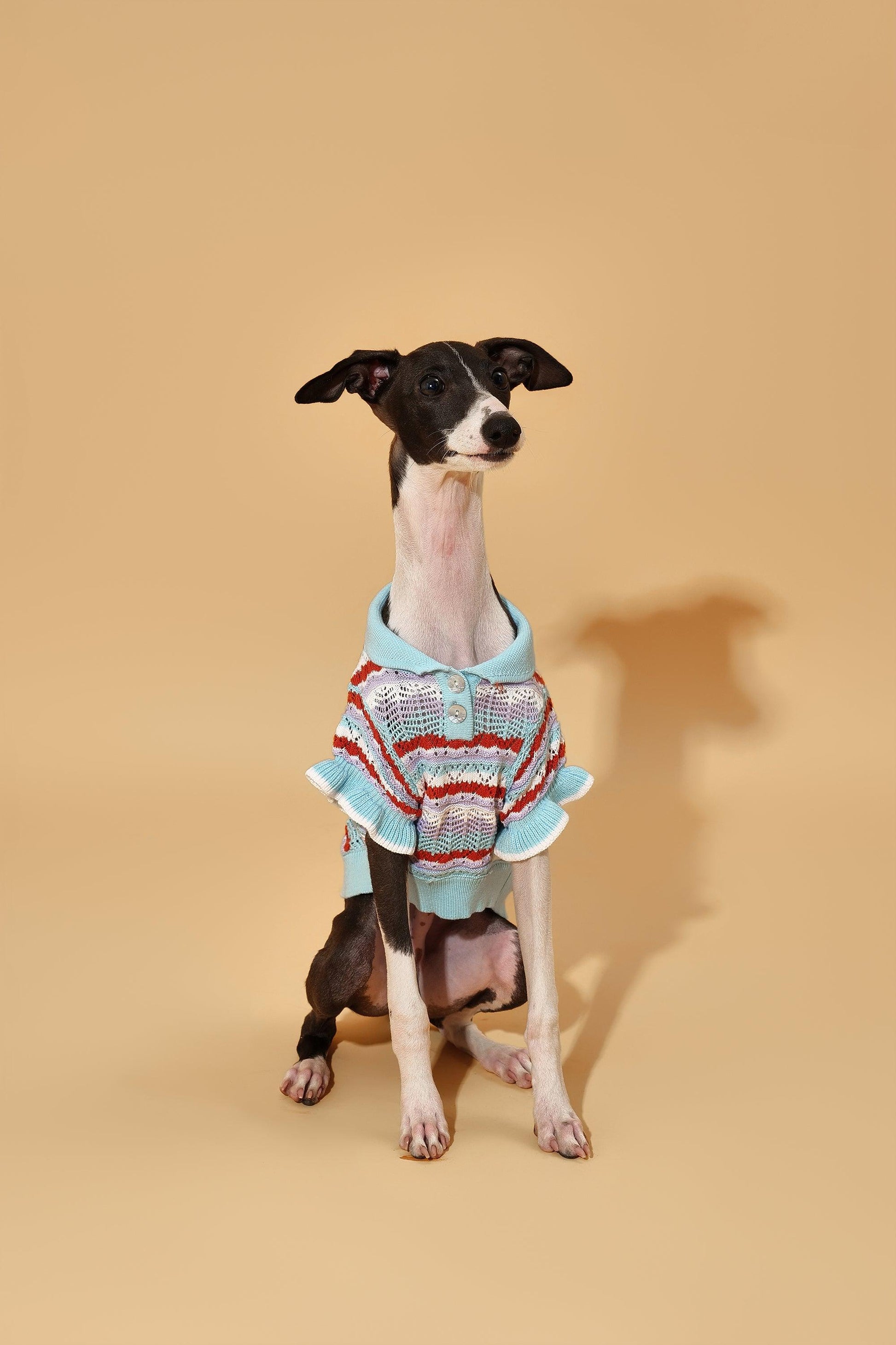 Pet & Me Spring Summer Ocean Blue Ruffle Crochet Short Sleeve Polo Shirt - BarkBarkBaby ~ Blessings Grow Meadows