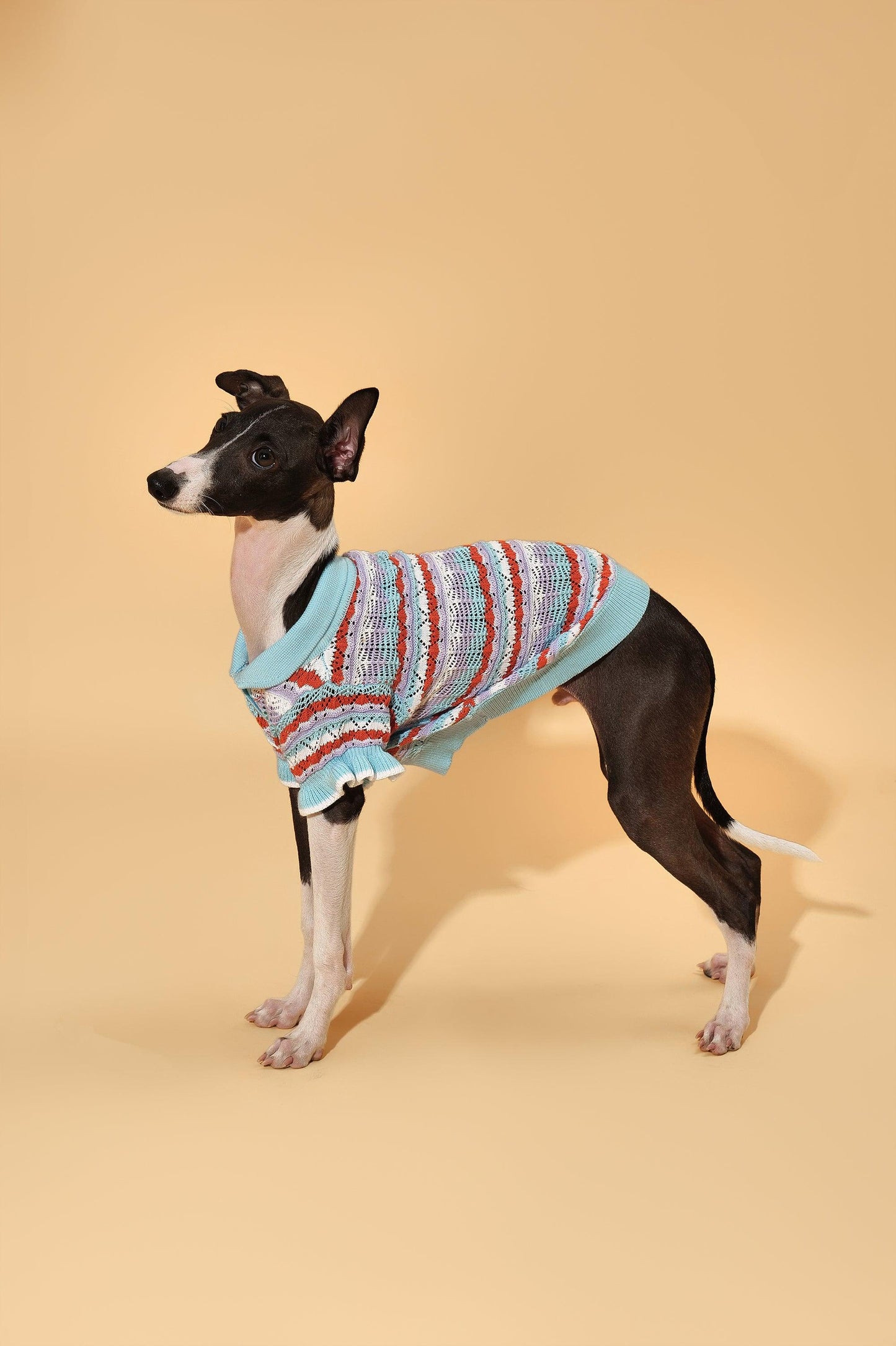 Pet & Me Spring Summer Ocean Blue Ruffle Crochet Short Sleeve Polo Shirt - BarkBarkBaby ~ Blessings Grow Meadows