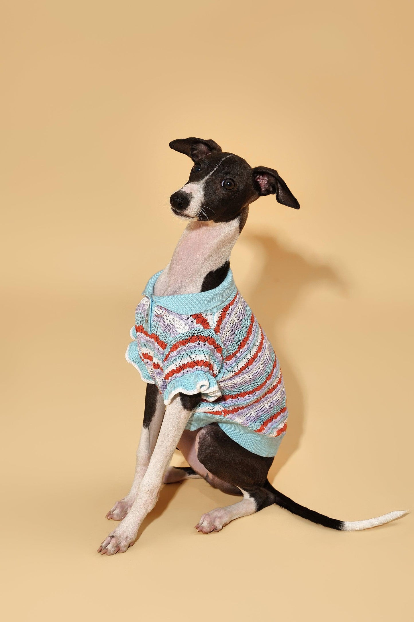 Pet & Me Spring Summer Ocean Blue Ruffle Crochet Short Sleeve Polo Shirt - BarkBarkBaby ~ Blessings Grow Meadows