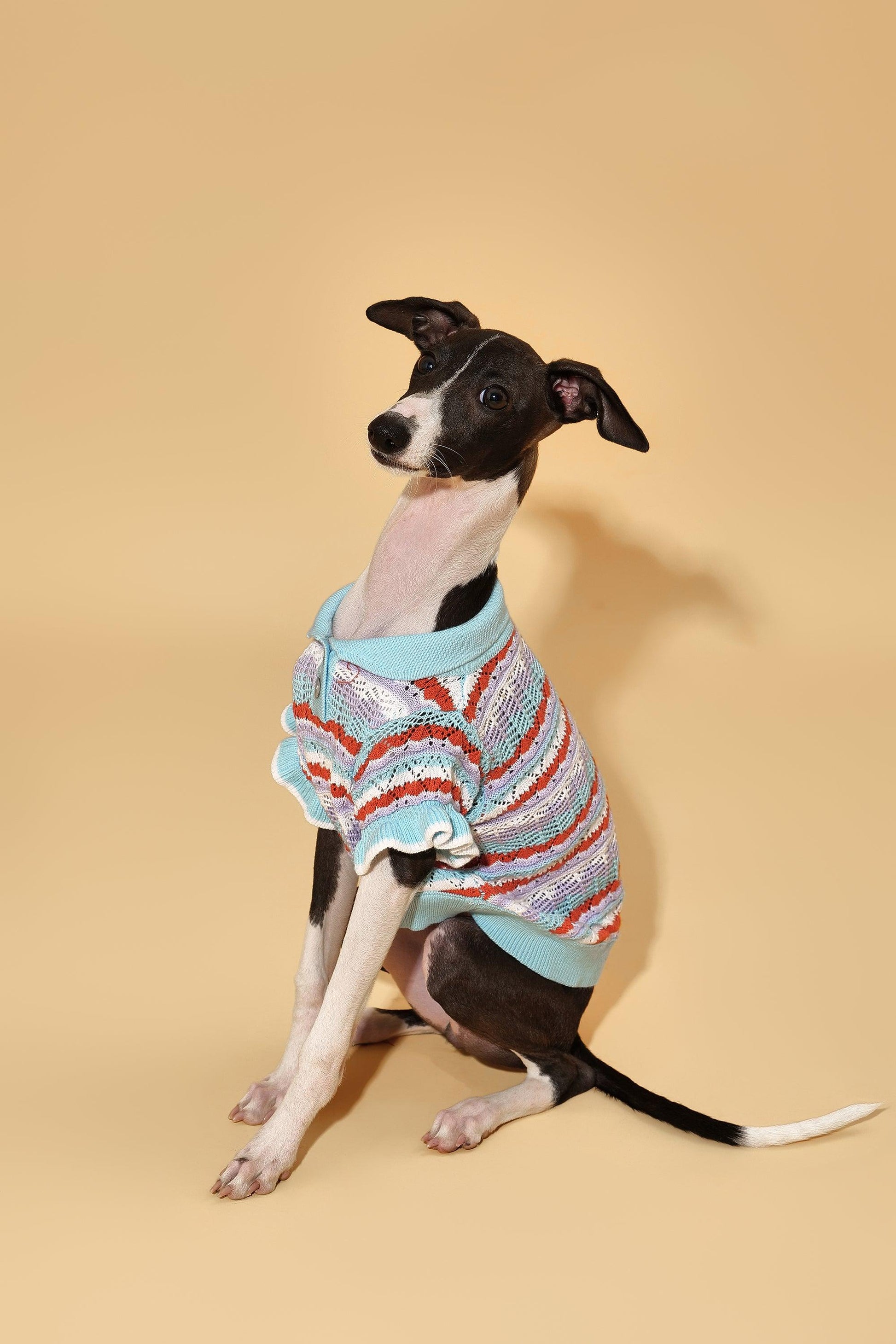 Pet & Me Spring Summer Ocean Blue Ruffle Crochet Short Sleeve Polo Shirt - BarkBarkBaby ~ Blessings Grow Meadows