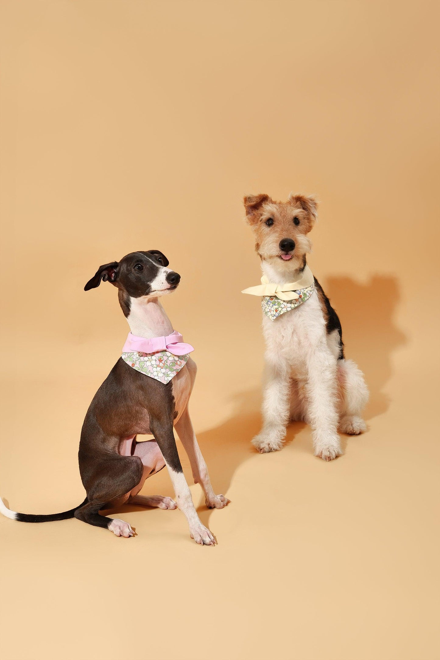 Bowtiful Garden Butter Yellow Floral Bandana - BarkBarkBaby ~ Blessings Grow Meadows