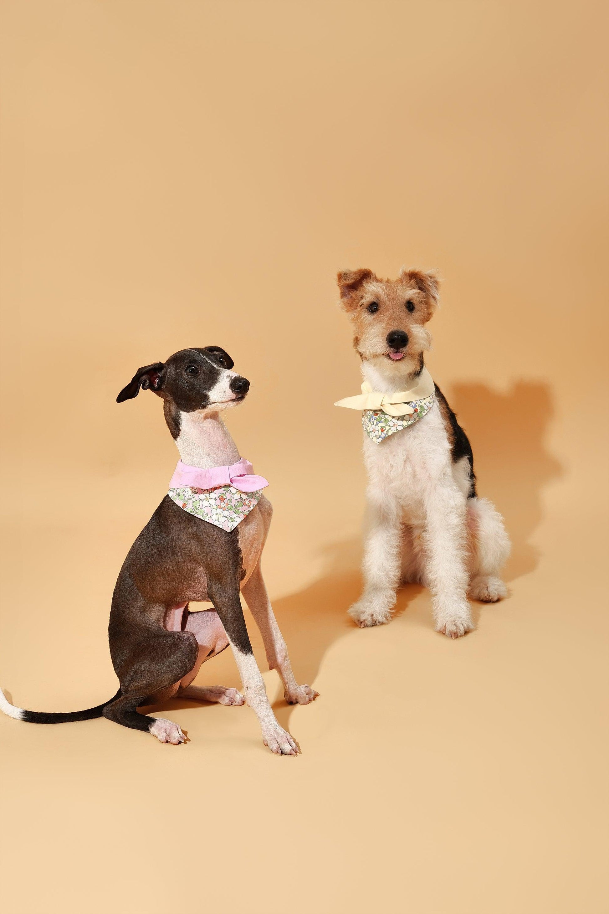 Bowtiful Garden Butter Yellow Floral Bandana - BarkBarkBaby ~ Blessings Grow Meadows