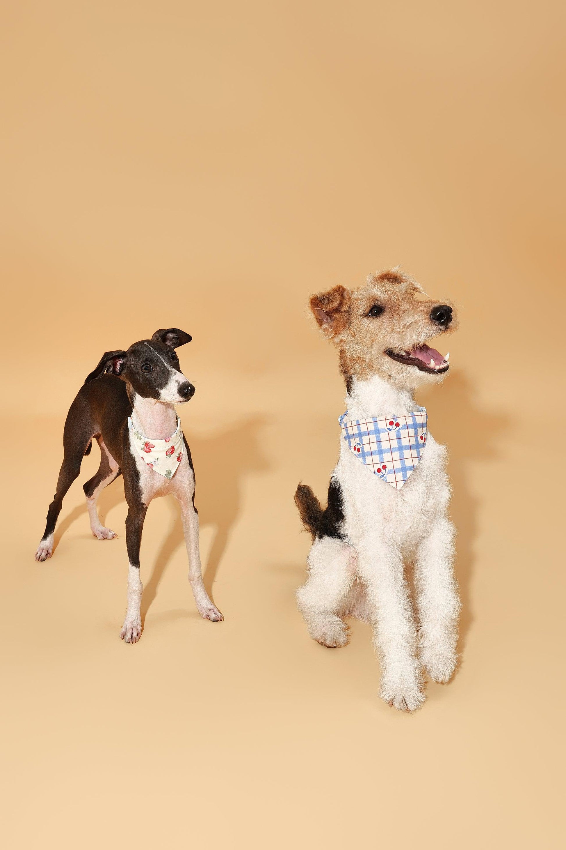 Strawberry Fields Butter Yellow Triangle Bandana - BarkBarkBaby ~ Blessings Grow Meadows