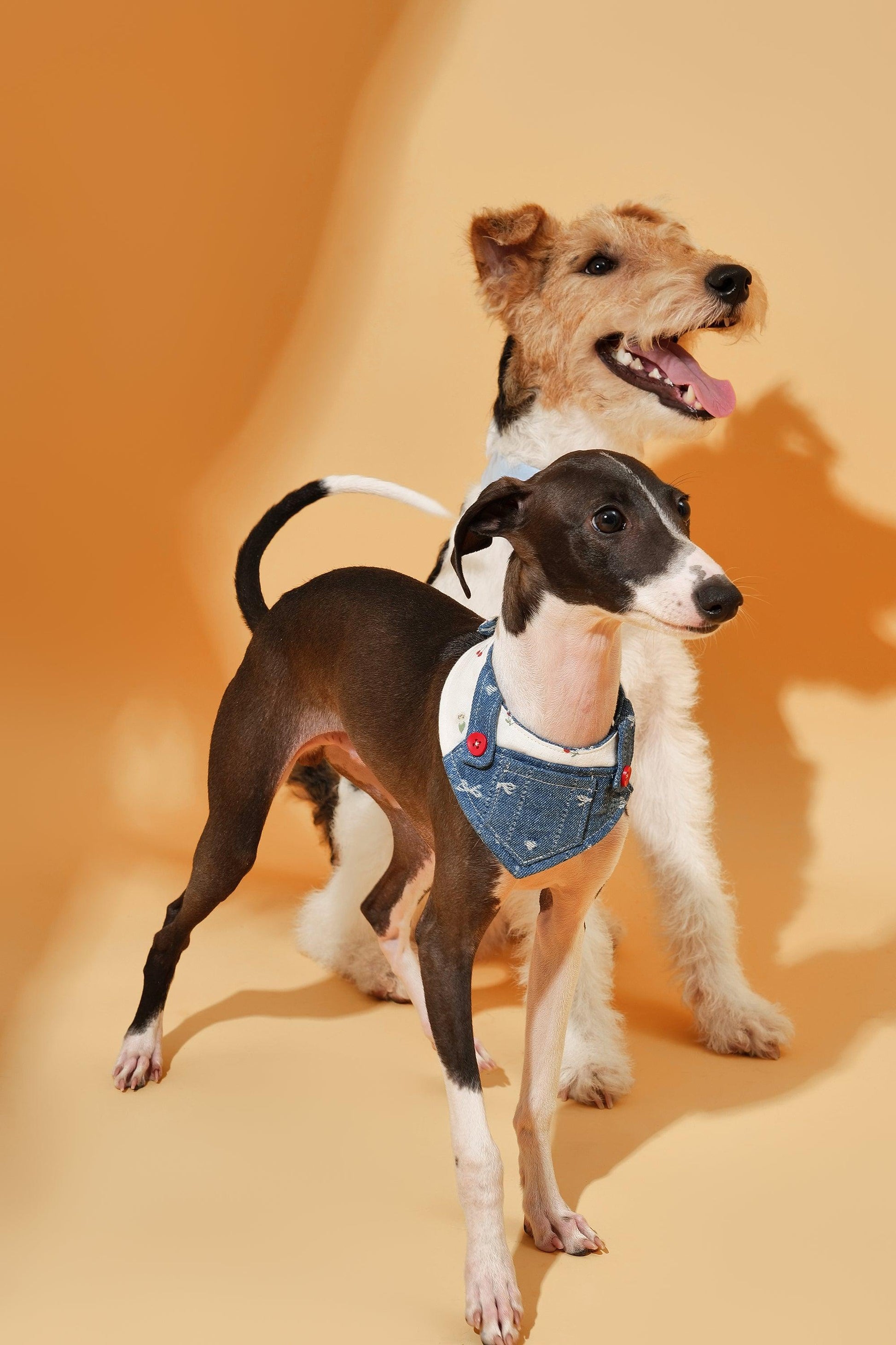 Reversible Denim Cherry Overalls Pet Bandana - BarkBarkBaby ~ Blessings Grow Meadows