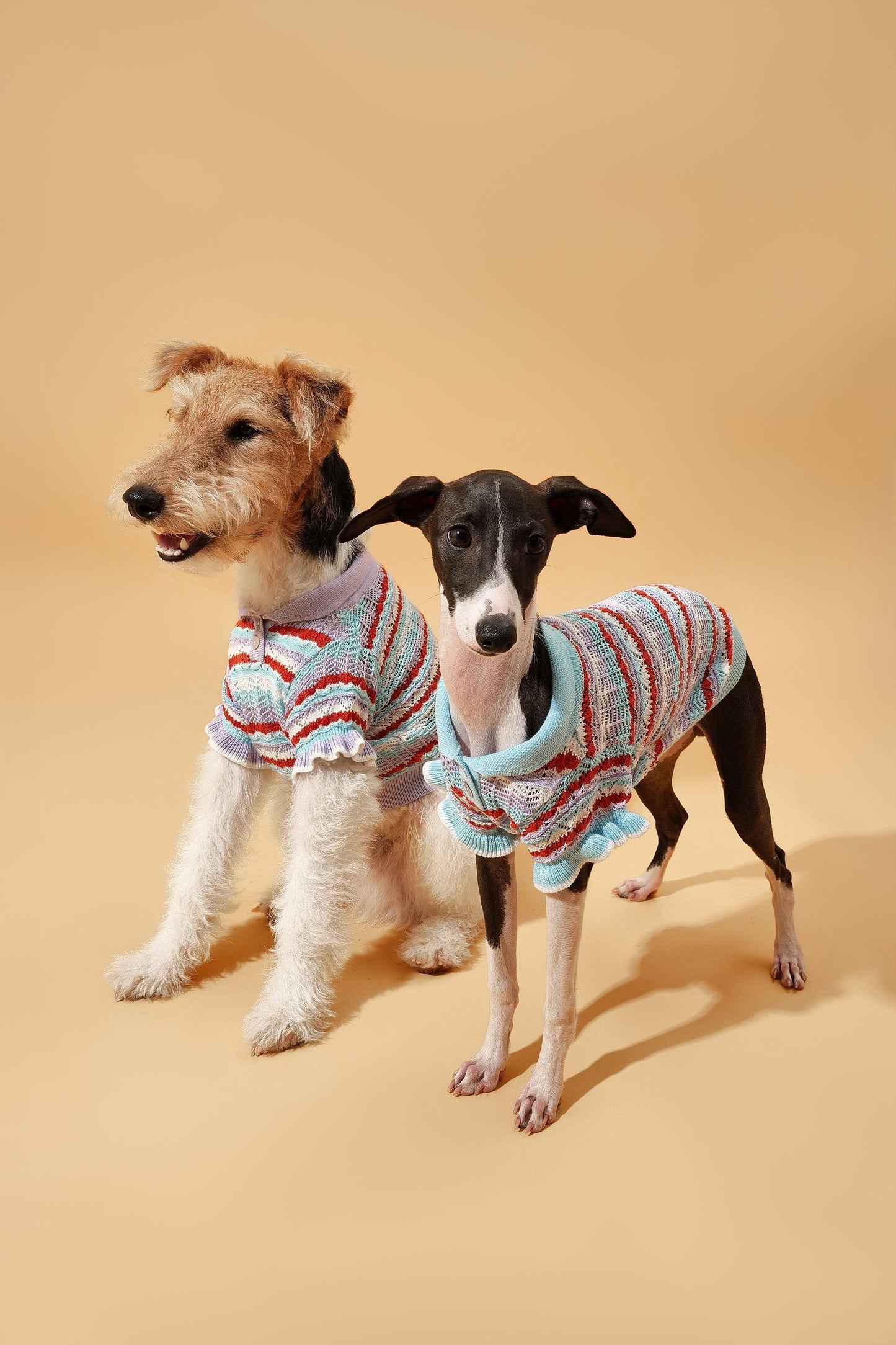 Pet & Me Spring Summer Ocean Blue Ruffle Crochet Short Sleeve Polo Shirt - BarkBarkBaby ~ Blessings Grow Meadows