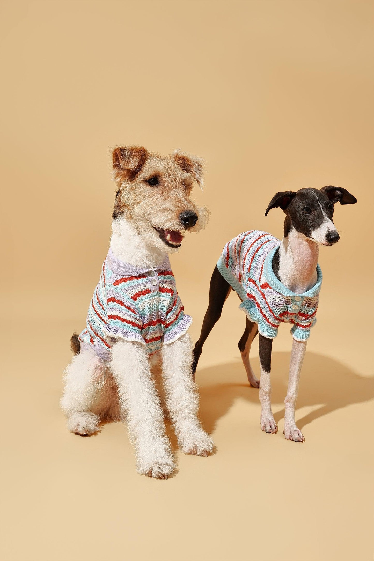 Pet & Me Spring Summer Lavender Ruffle Crochet Short Sleeve Polo Shirt - BarkBarkBaby ~ Blessings Grow Meadows