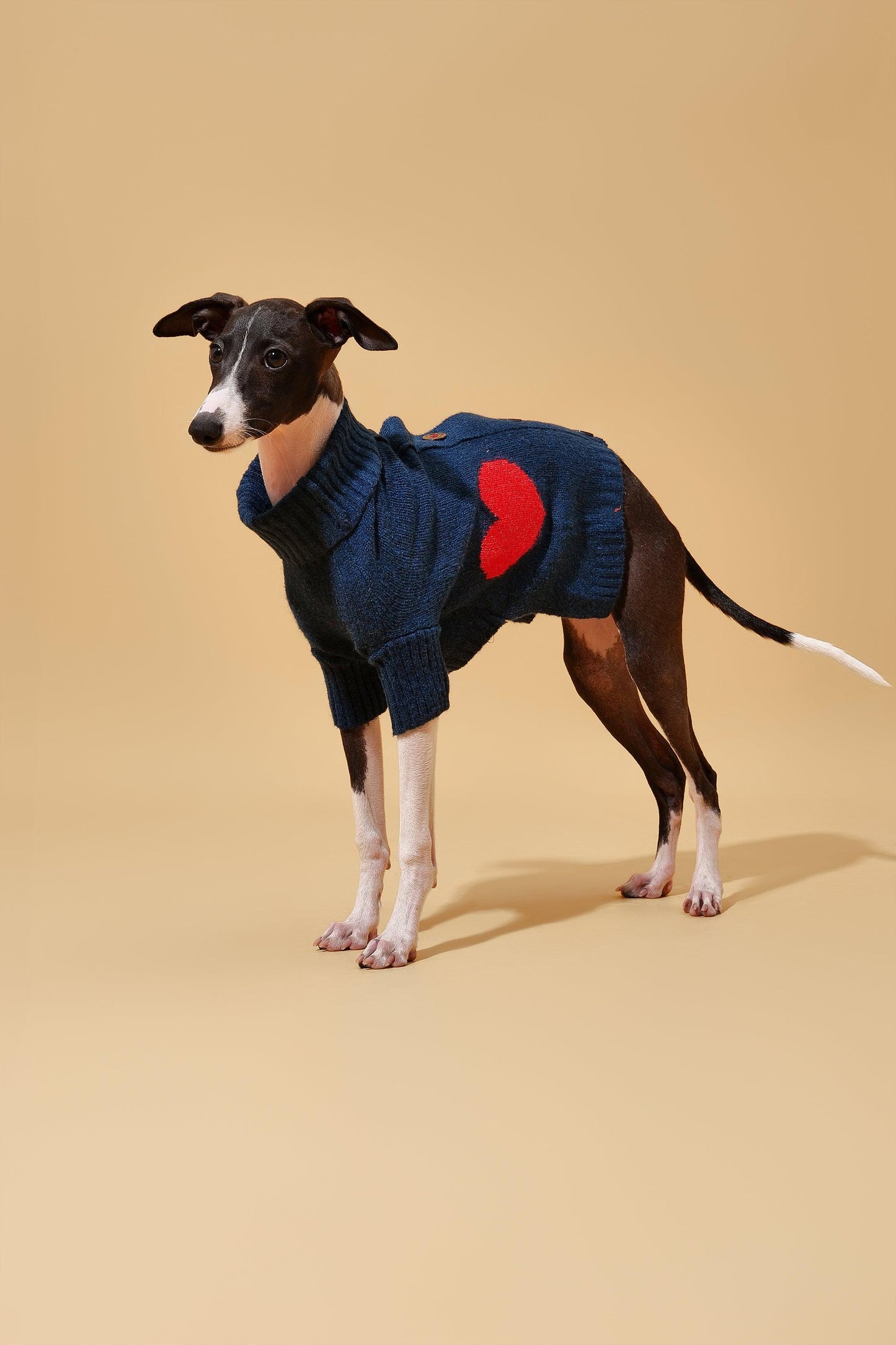 Heart to Heart Button-Up Cardigan Sweater - BarkBarkBaby ~ Blessings Grow Meadows