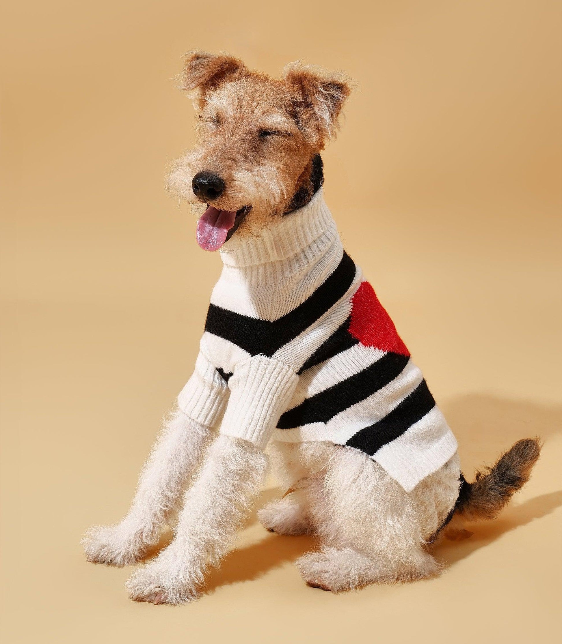 Sailor of My Heart Striped Turtleneck Sweater - BarkBarkBaby ~ Blessings Grow Meadows