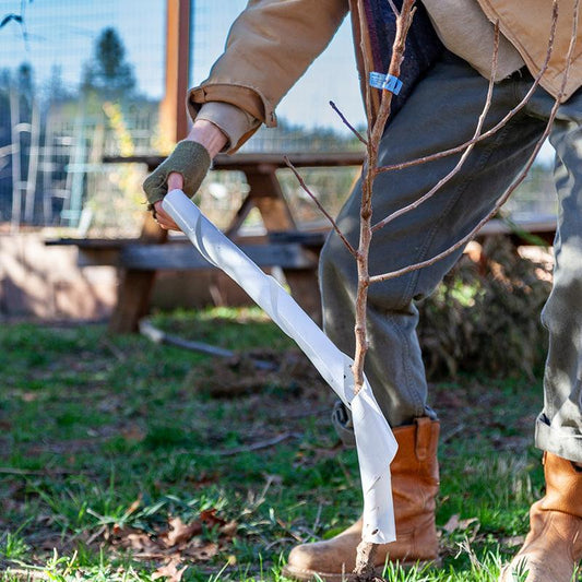 Spiral Tree Guards - 36" (Pack of 5) - Blessings Grow Meadows