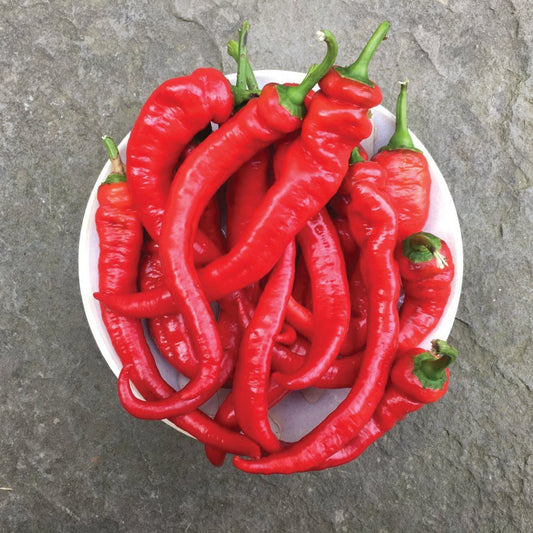 Jimmy Nardello Pepper - Blessings Grow Meadows