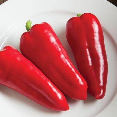 Red Corno Di Toro Pepper - Blessings Grow Meadows