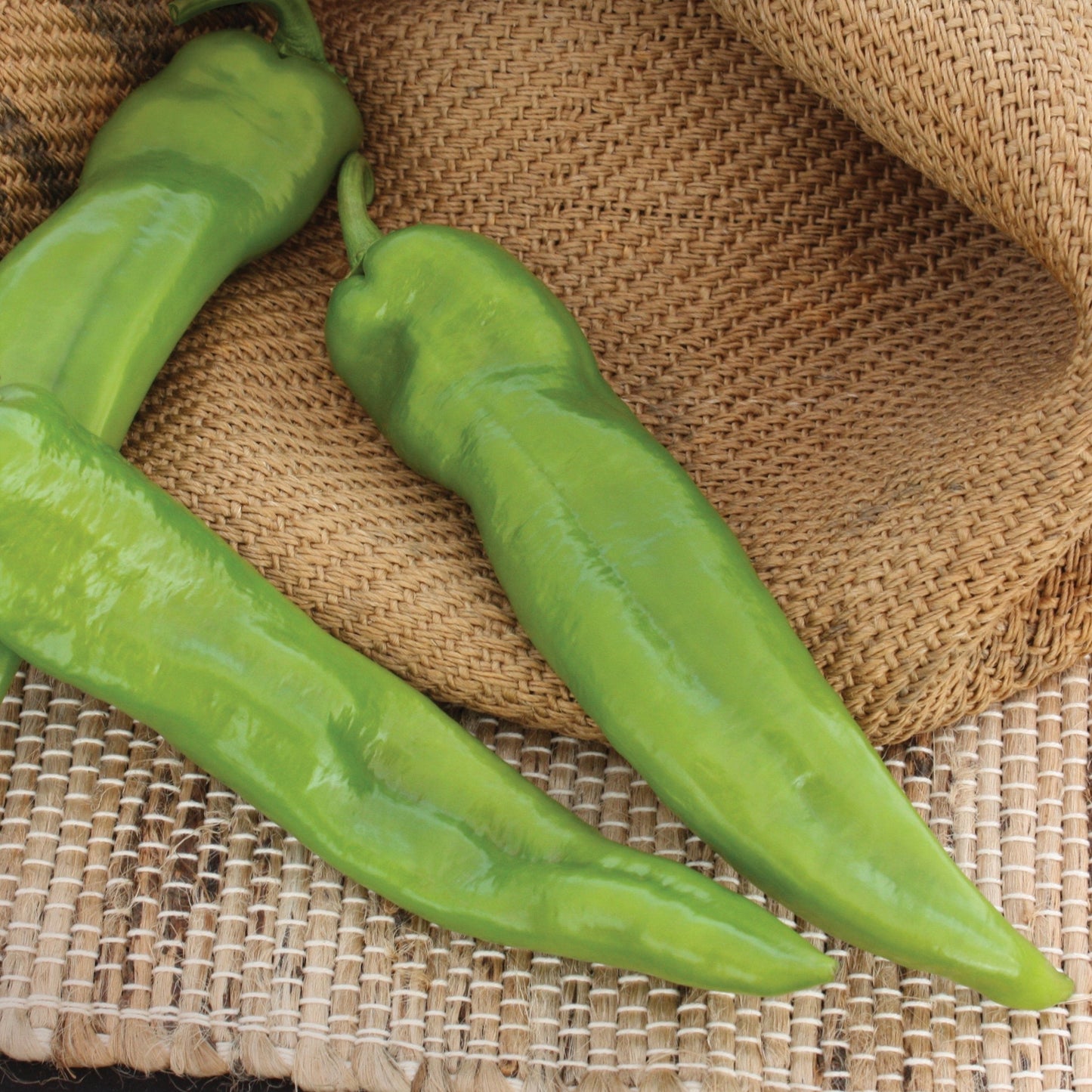 Anaheim Chili Pepper - Blessings Grow Meadows