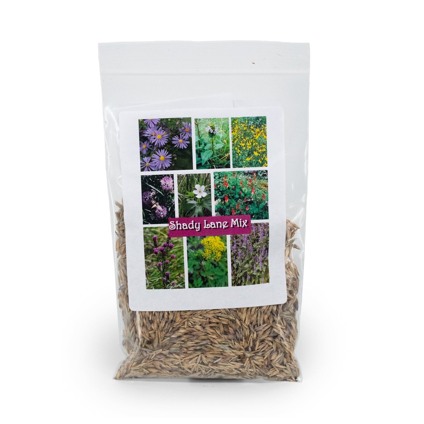 Shady Lane Native Wildflower Seed Mix | 2.88 oz | Prairie Legacy Inc. - BuyNebraska.com ~ Blessings Grow Meadows