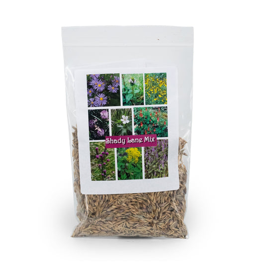 Shady Lane Native Wildflower Seed Mix | 2.88 oz | Prairie Legacy Inc. - BuyNebraska.com ~ Blessings Grow Meadows