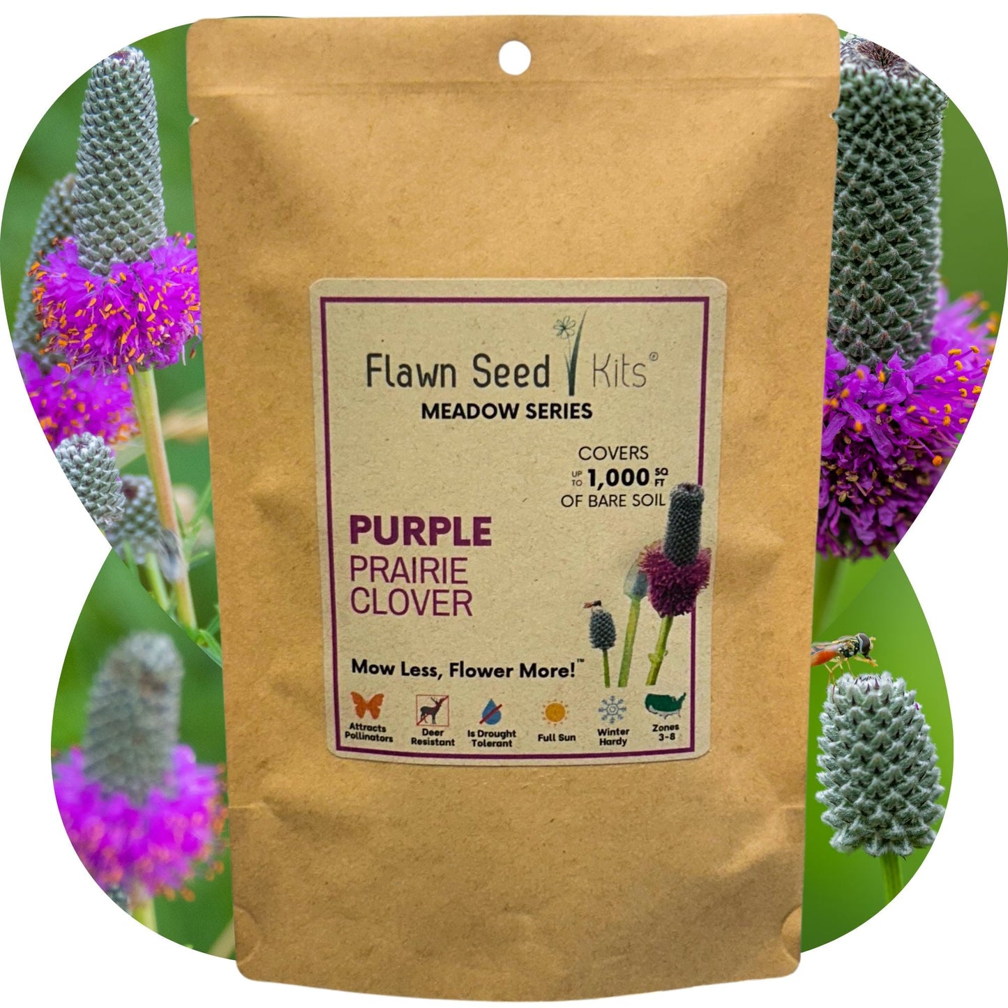 Purple Prairie Clover Seed - Blessings Grow Meadows