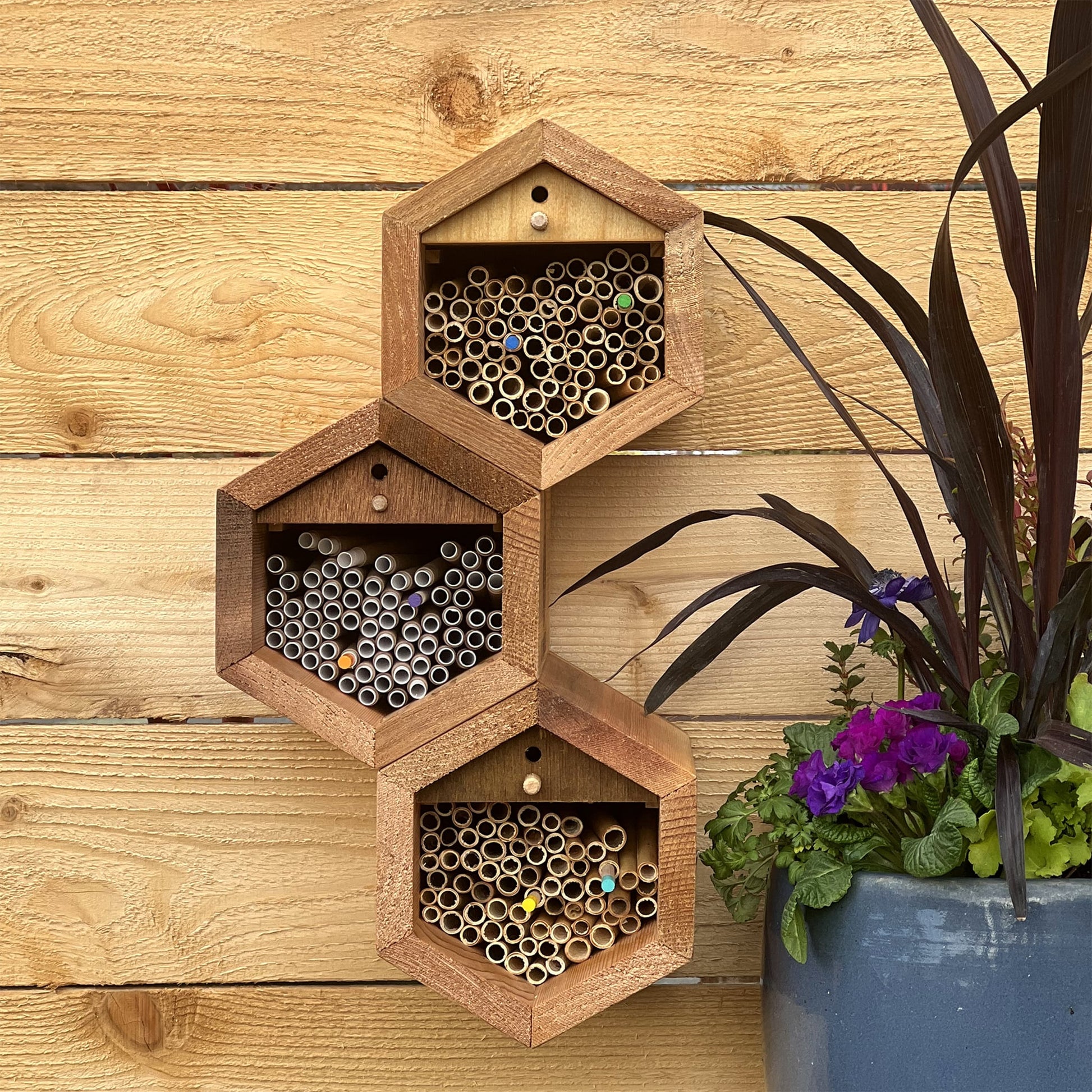 Cabana Bee House - Small Hex - Blessings Grow Meadows