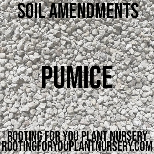 Pumice Soil Amendment