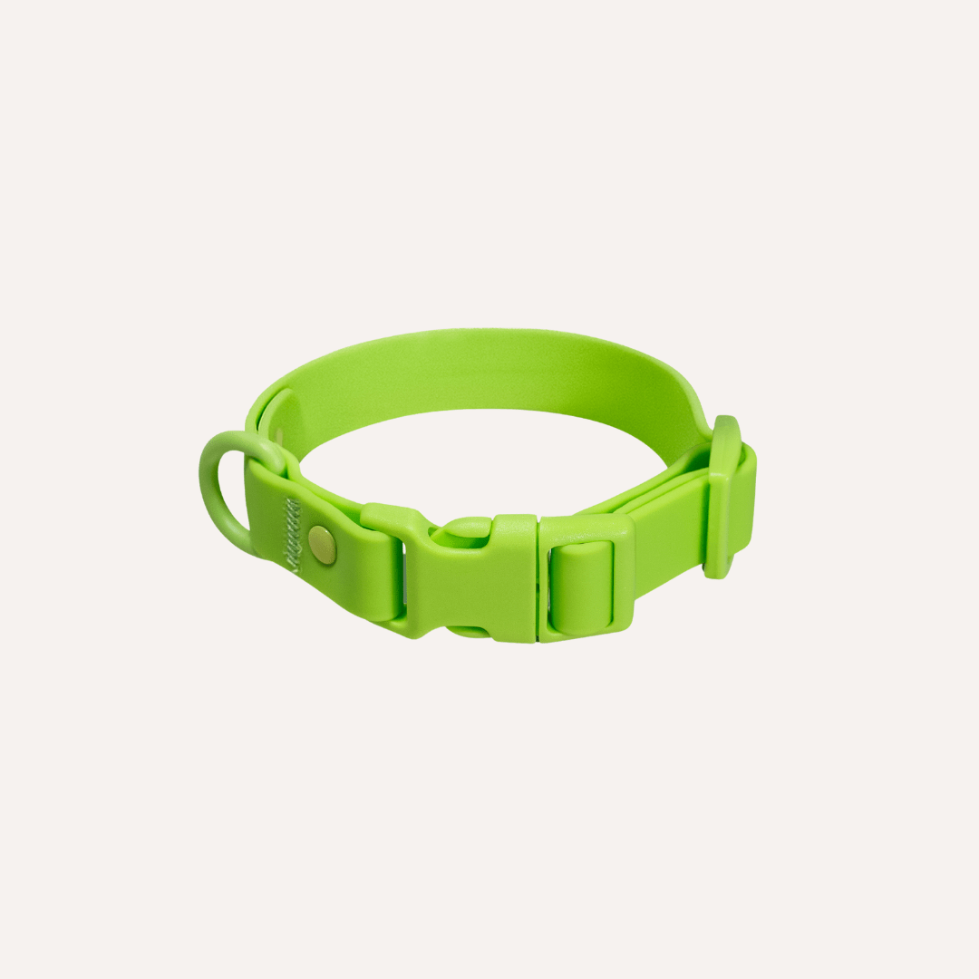 Bright lime PVC dog collar from Tilley + Me, waterproof, durable, odor-resistant all weather collar for dogs.