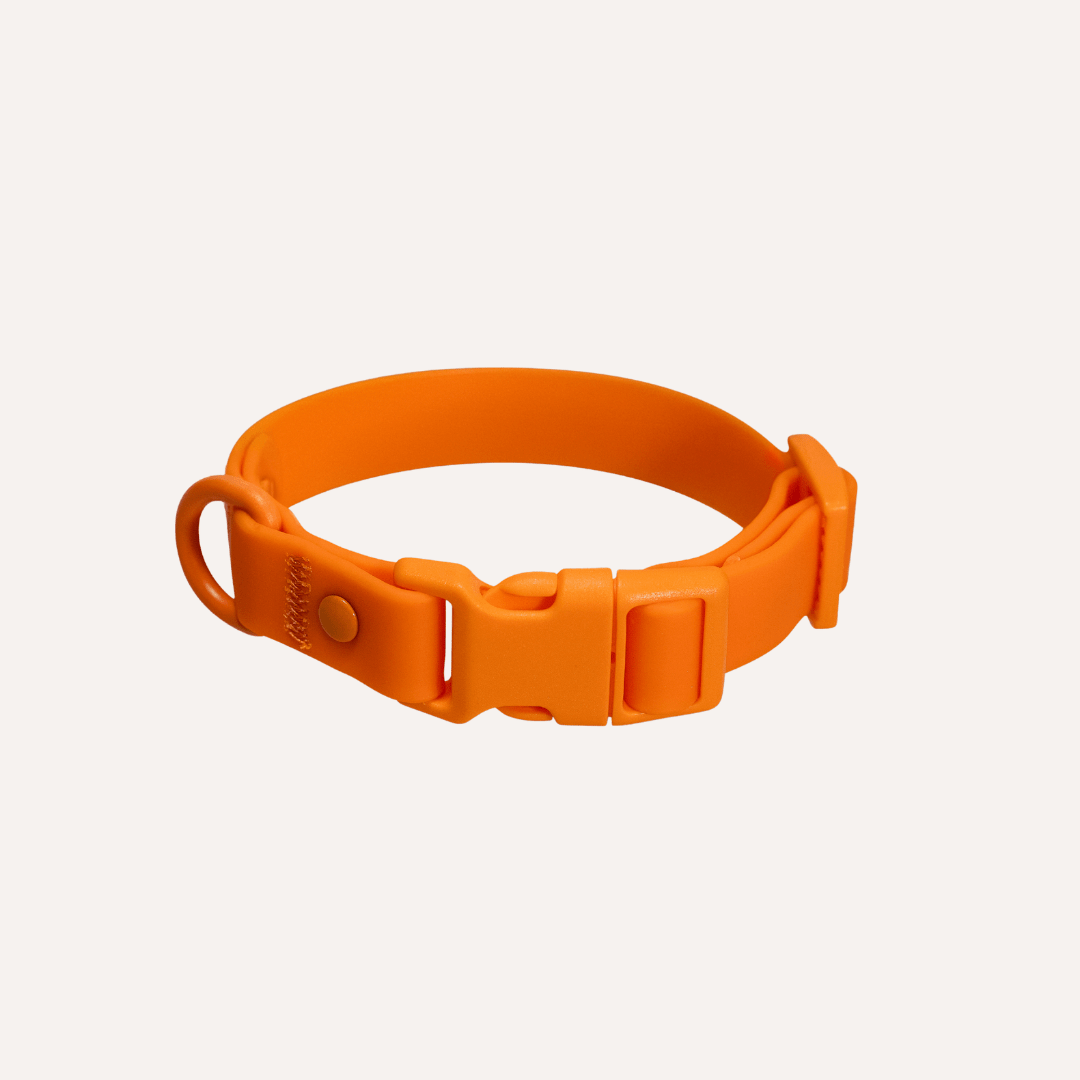 PVC dog collar by Tilley + Me, waterproof and durable all-weather collar with odor resistance, shown in bright poppy color.