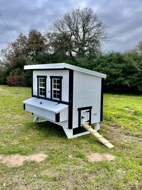 Large Chicken Coop - Up to 15 Chickens - OverEZ Chicken Coop ~ Blessings Grow Meadows