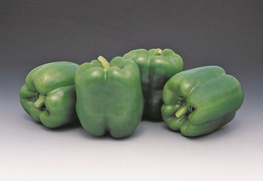 Encore Hybrid Pepper Seeds - Blessings Grow Meadows