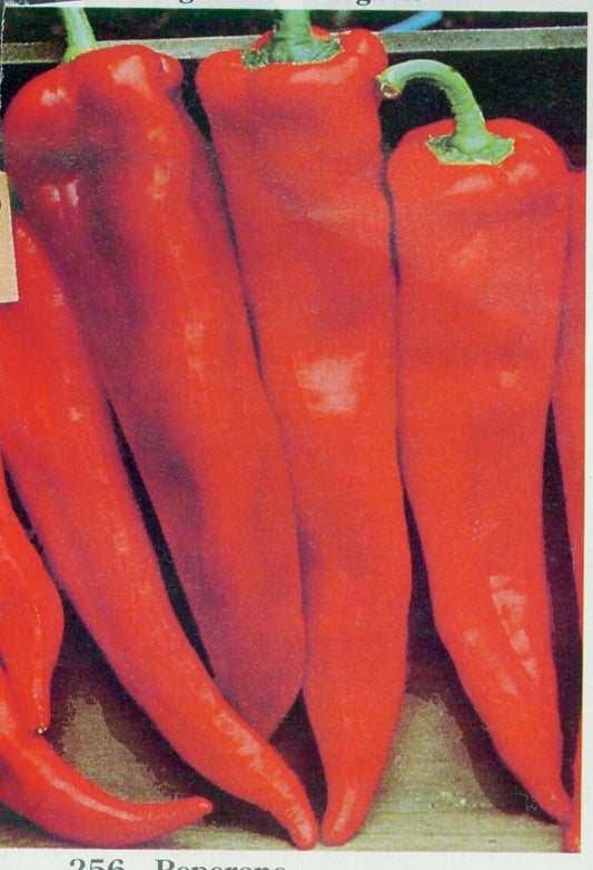 Corno di Toro Red Pepper Seeds - Blessings Grow Meadows