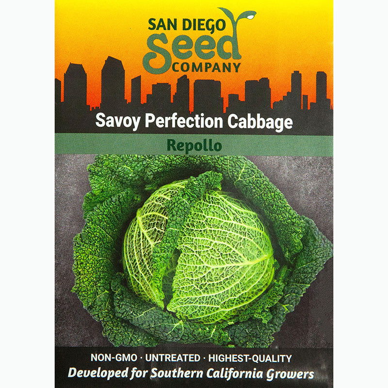 Perfection Savory Seeds - Blessings Grow Meadows -