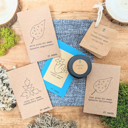 Pet-Friendly Houseplant Seed Collection - Blessings Grow Meadows -