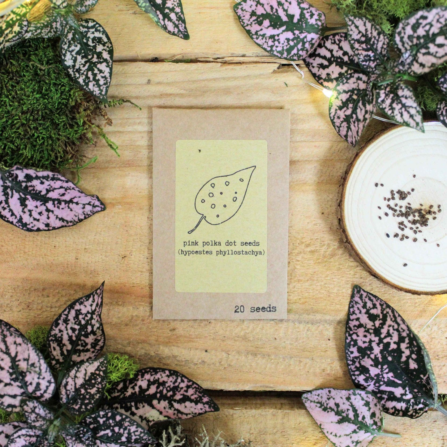 Pet-Friendly Houseplant Seed Collection - Blessings Grow Meadows -