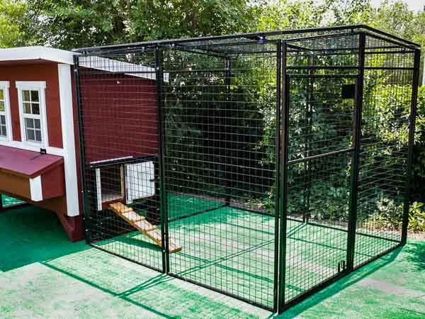 Walk-In 8 ft. Chicken Run (6'6"W x 7'6"L x 6'3"H) - OverEZ Chicken Coop ~ Blessings Grow Meadows