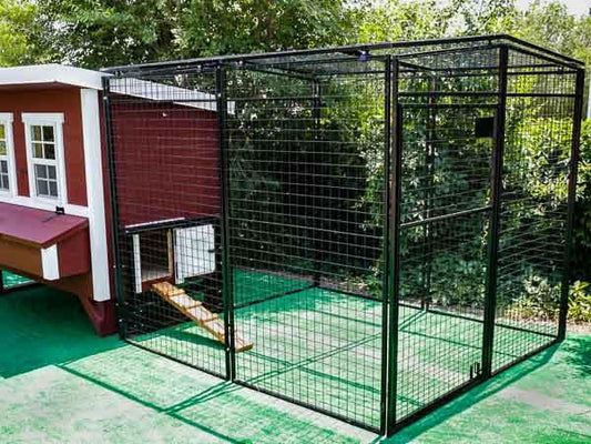 Walk-In 8 ft. Chicken Run (6'6"W x 7'6"L x 6'3"H) - OverEZ Chicken Coop ~ Blessings Grow Meadows