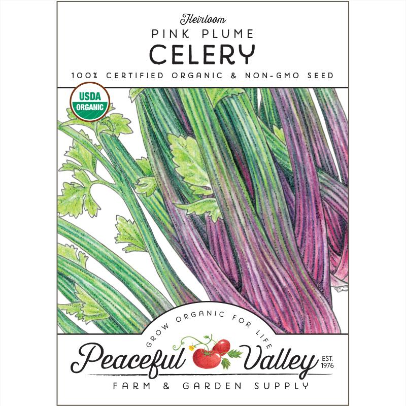 Pink Plume Celery Seeds (Organic) - Blessings Grow Meadows