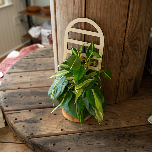Plant Trellis - Arch - Blessings Grow Meadows -