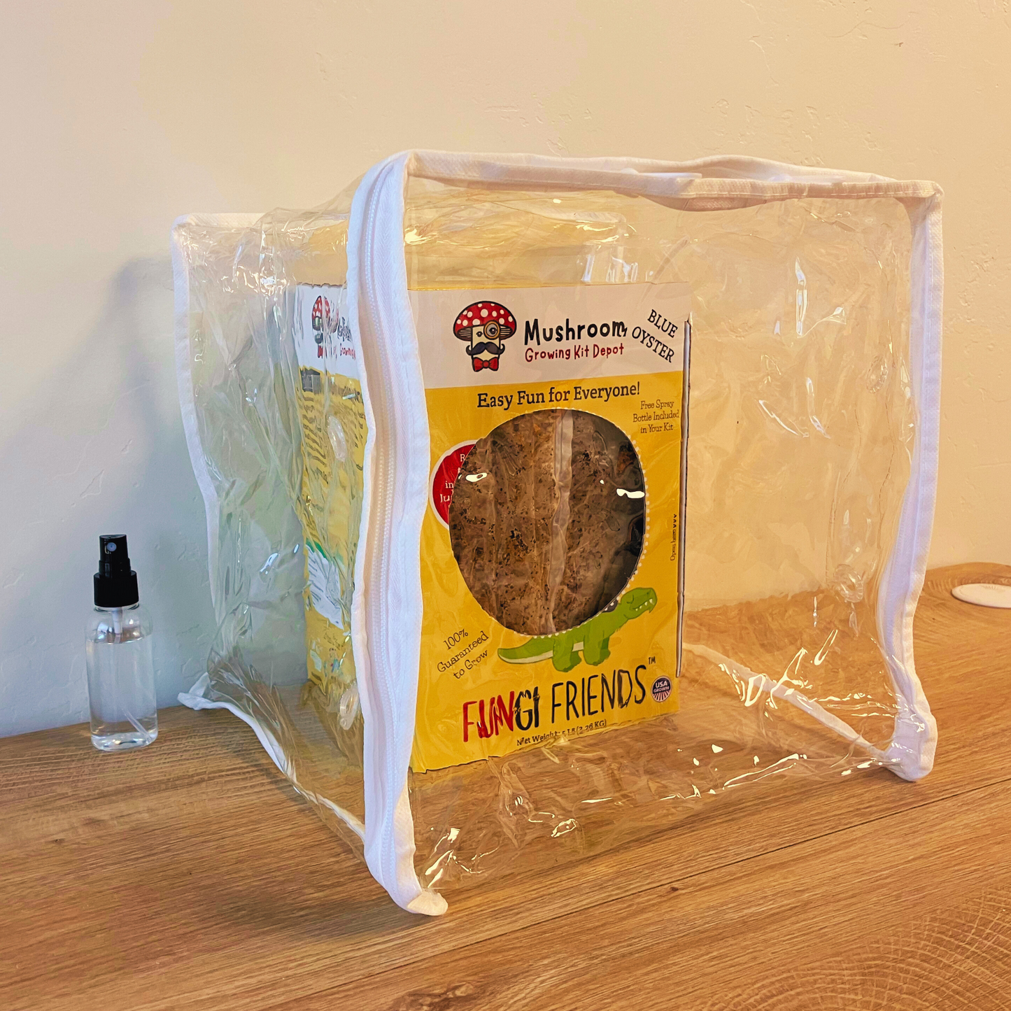 Mushasaurus - Blue Oyster Mushroom Grow Kit - 5 LBS (with box) - Blessings Grow Meadows