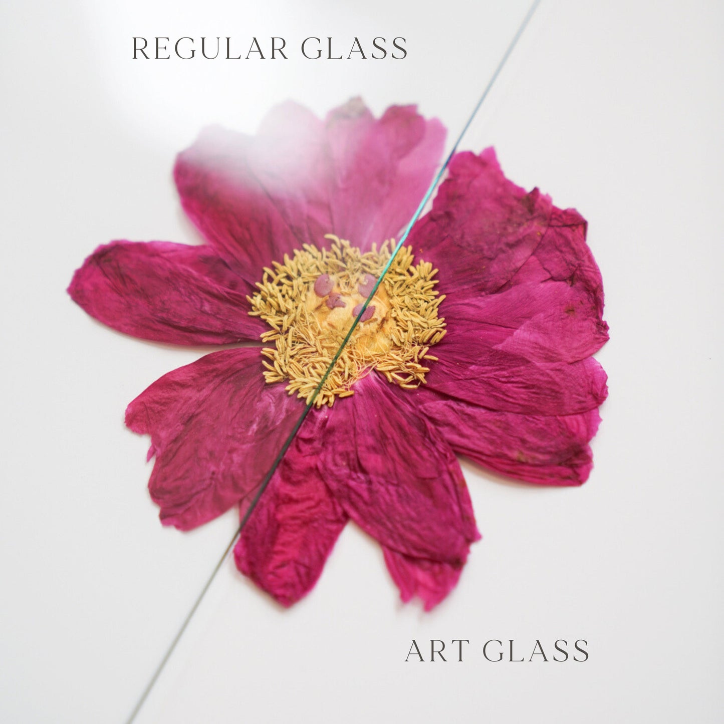 Pressed Floral boutonniere frame with pressed flowers and greenery, ideal for wedding or floral arrangements.