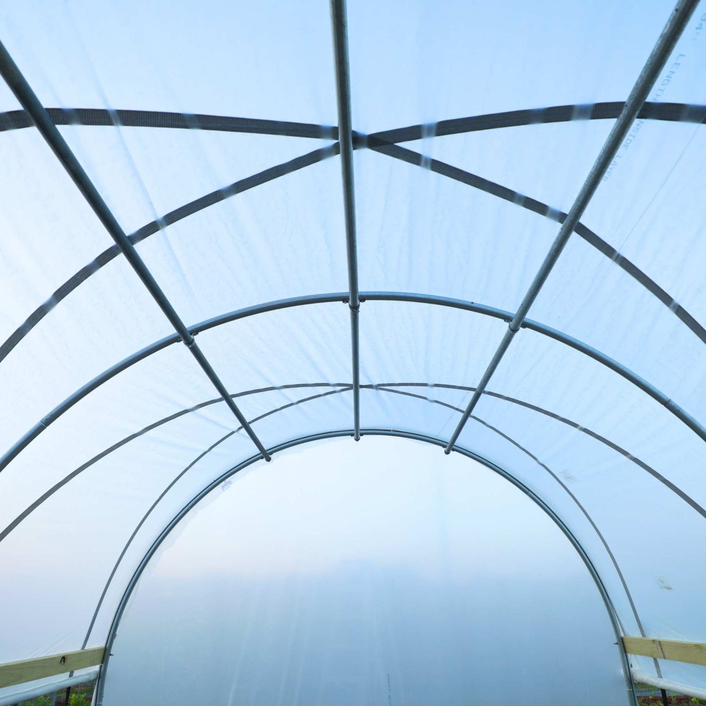 Hobby Greenhouse Kit - Bootstrap Farmer ~ Blessings Grow Meadows