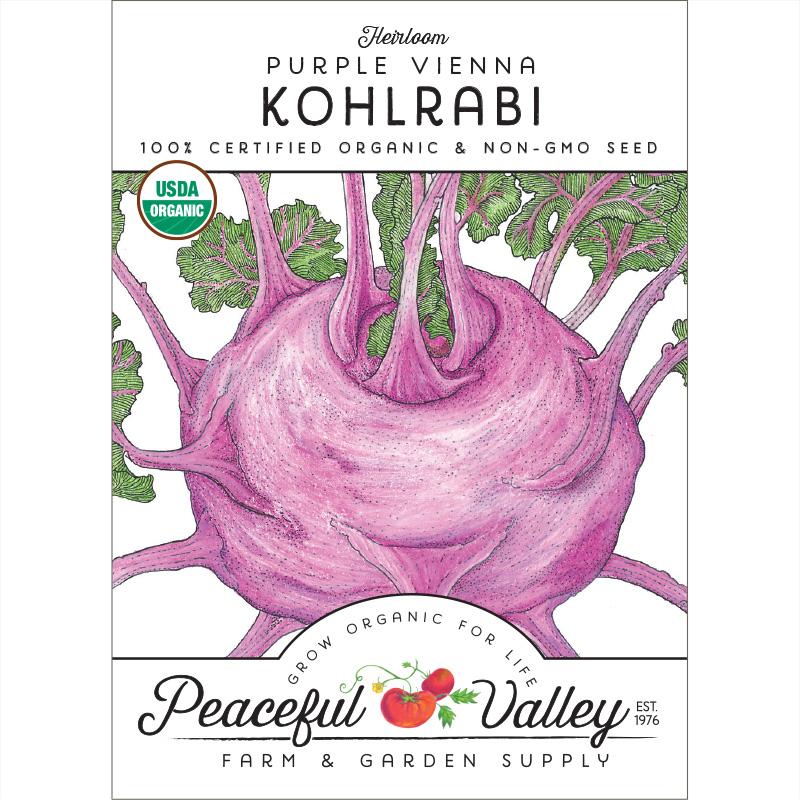 Purple Vienna Kohlrabi Seeds (Organic) - Blessings Grow Meadows